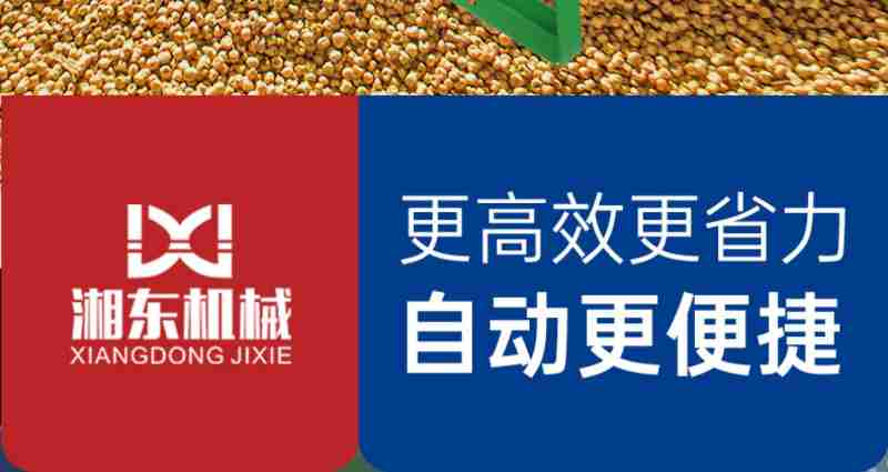安徽振立汽车零配件有限公司生产的燃油泵转子。新华网李东标 摄