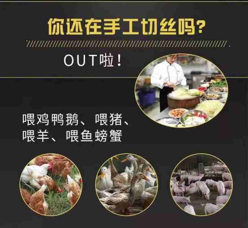 拍摄:韦贵金